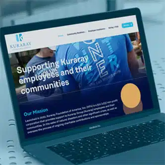 MARION Web Design - image of award-winning MARION website design