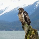 Environmental Services McElhanney’s commitment to environmental services supports our vision of a world built for future generations.