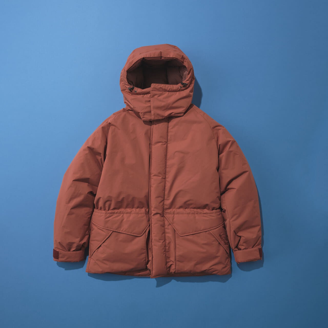 黒じゃないゴアテックスダウンジャケット Mammoth Down Parka(マンモスダウンパーカ) 俯瞰