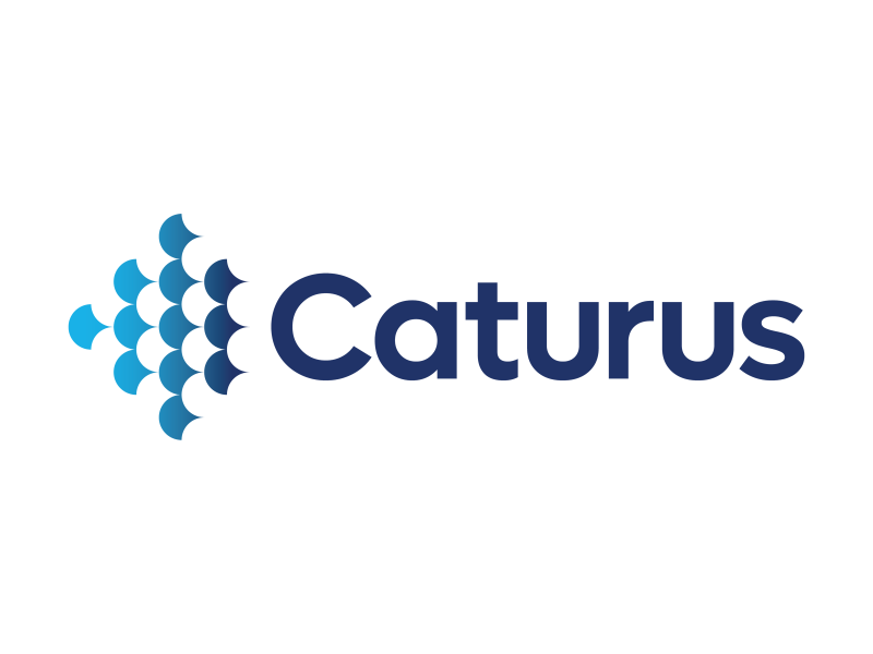 Caturus | 美股之家 - 港股美股开户投资百科全书 天然气及液化天然气勘探与生产服务公司:Caturus LLC-图片1
