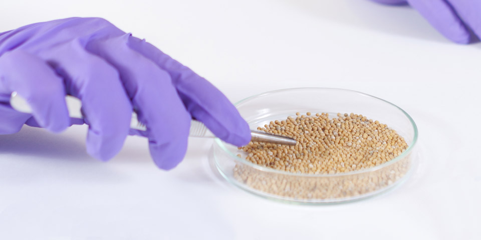 Quality Control Microorganisms