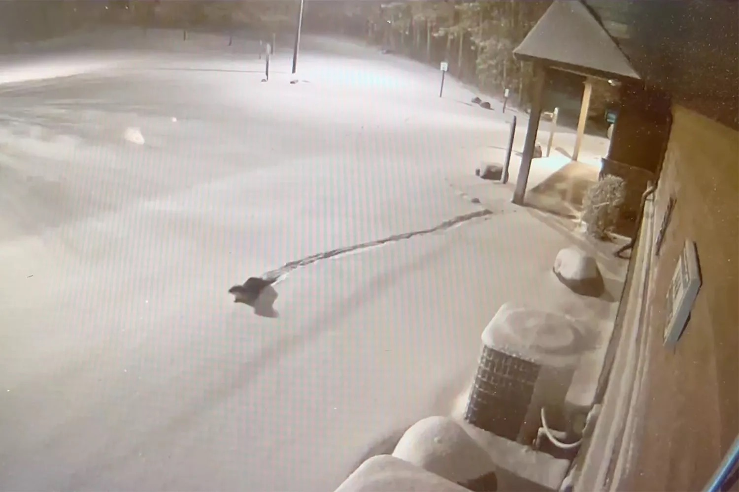 a small river otter escapes during a snow storm