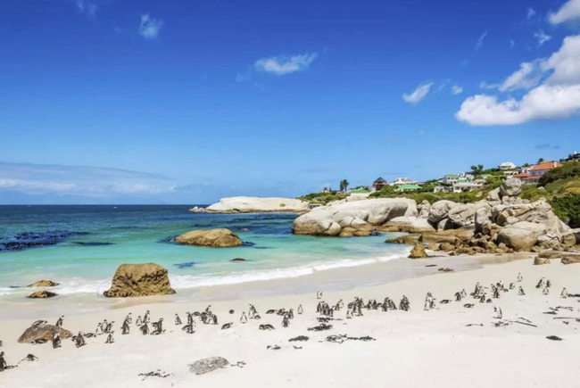 Boulders Beach Villa