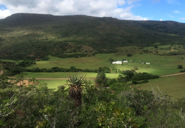 Kromrivier Farm Stays