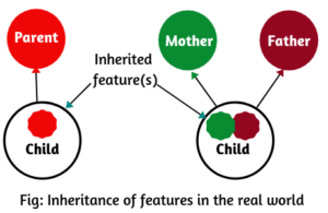 Realtime example of inheritance in Java