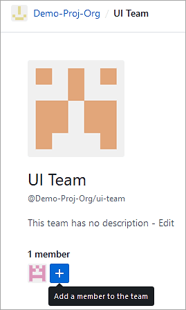 Add members to the team