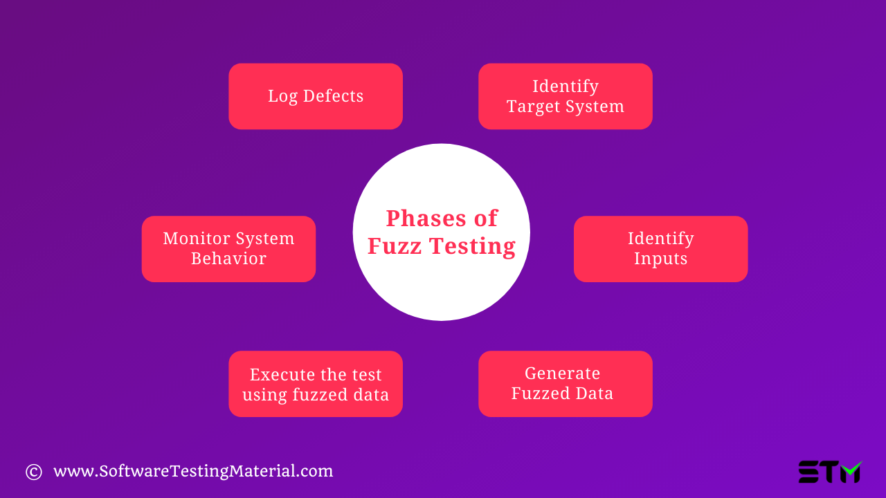 Phases of Fuzz Testing