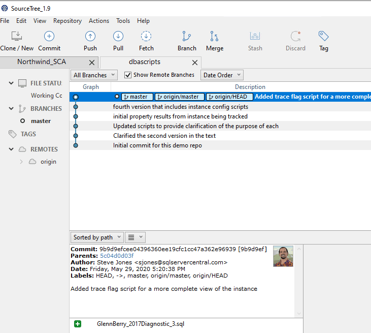 repo status in sourcetree