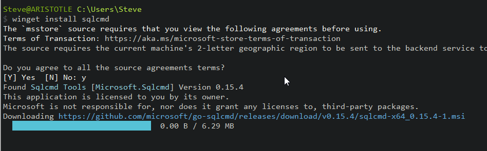 Second go-sqlcmd install process