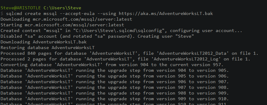 starting a container