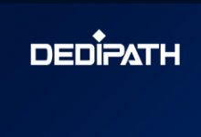 DediPath美国G口不限流量服务器促销,VPS年付$10起!G口不限流量独服$45/月起,20G防御!-SSHCE测评