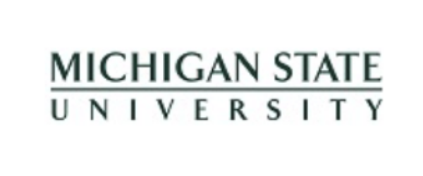 michigan state university