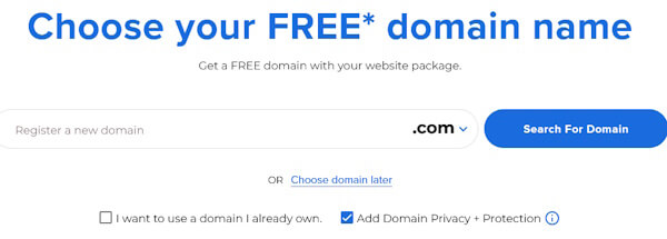 choose a domain name