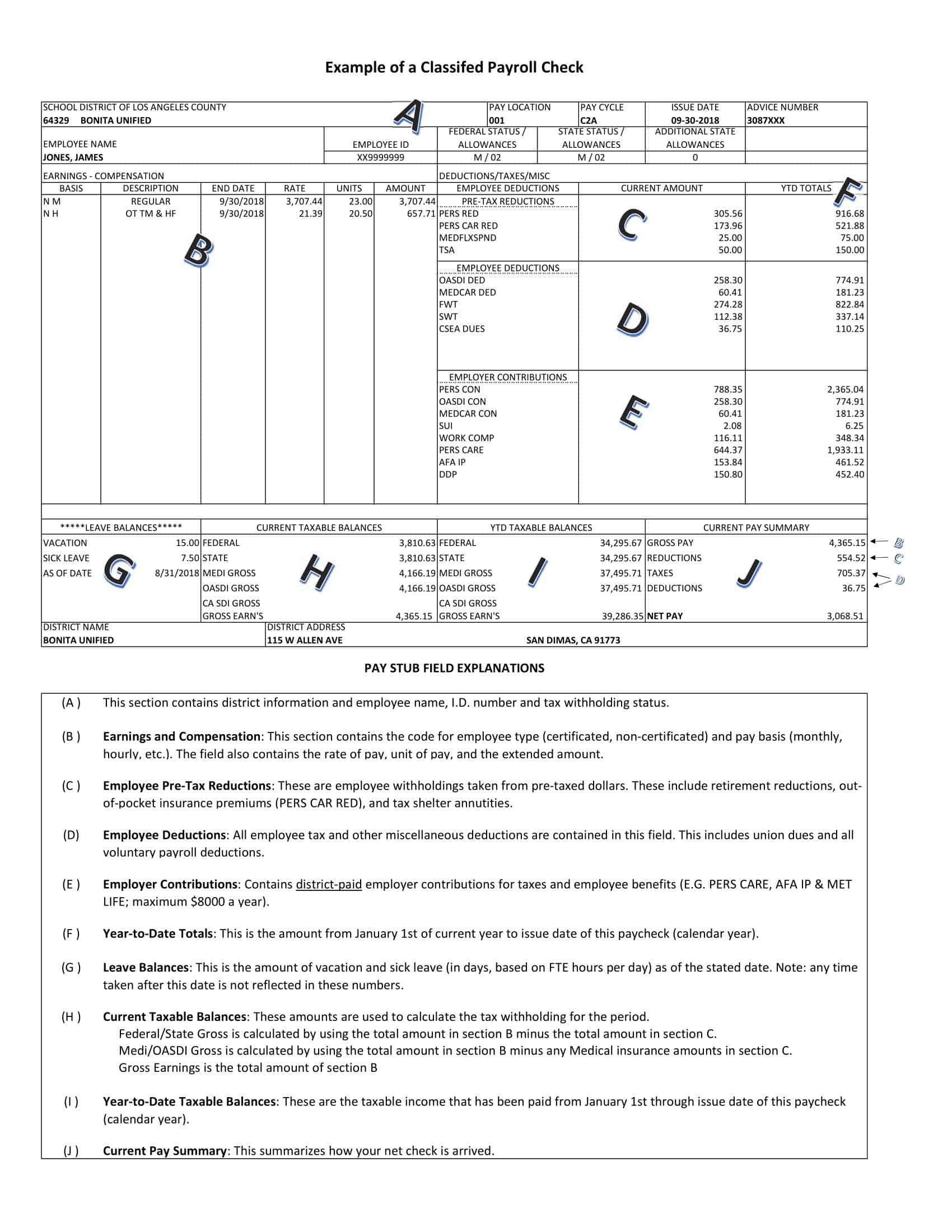 Blank Pay Stub PDF Blank Pay Stub PDF