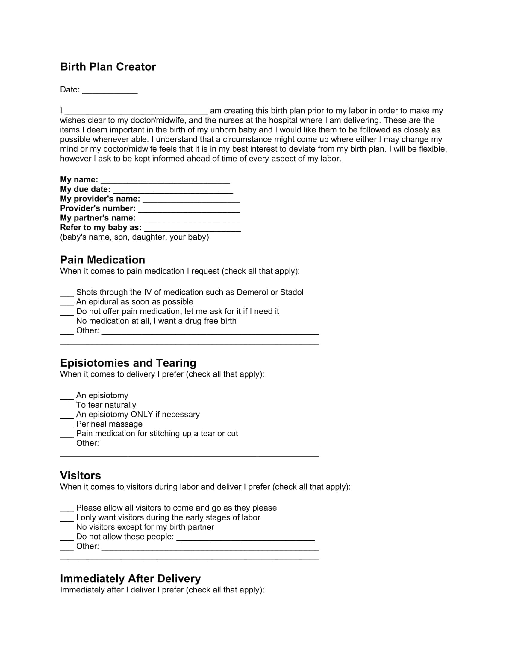 birth plan outline birth plan outline