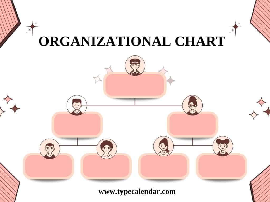 create organizational chart create organizational chart