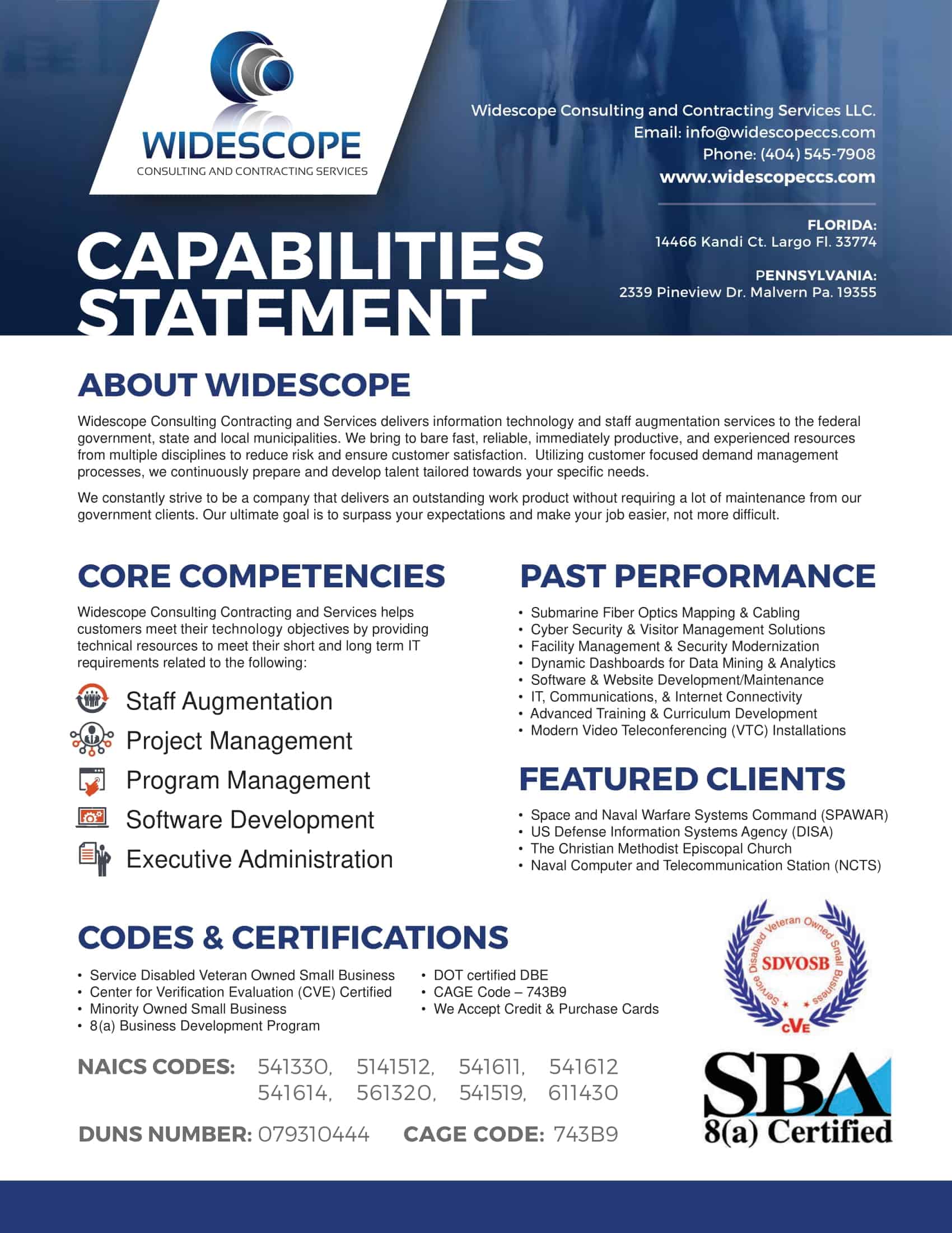examples of capability statements examples of capability statements