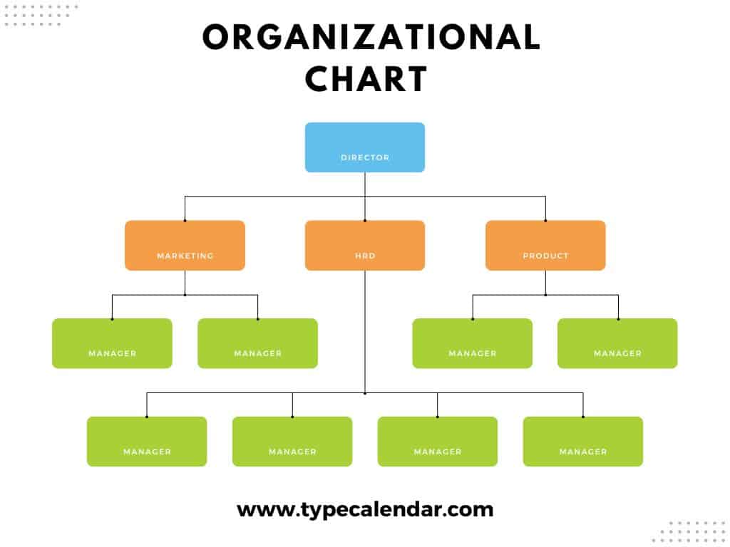 organizational chart organizational chart