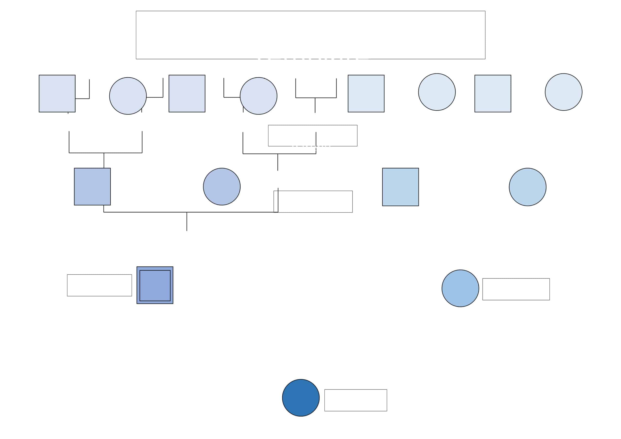 Sample Genogram Template Online Sample Genogram Template Online
