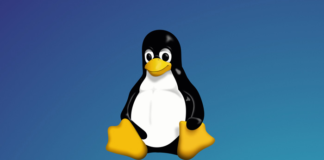 Uses of Linux: How Individuals and Organizations Use It SSH to your Linux systems from Android