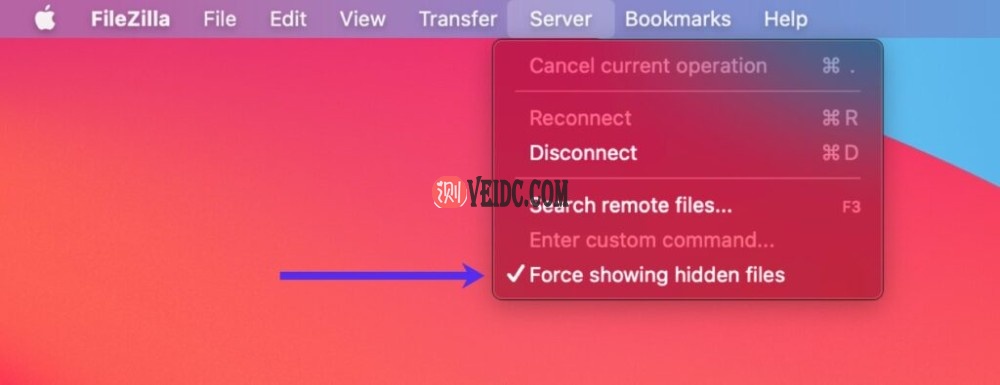 配置FileZilla以显示隐藏文件 配置FileZilla以显示隐藏文件