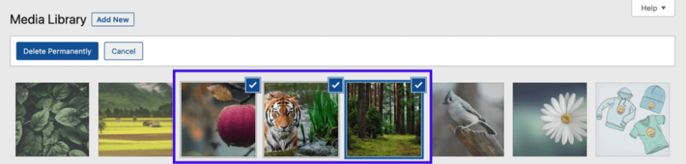 WordPress媒体库中的批量选择选项 WordPress媒体库中的批量选择选项