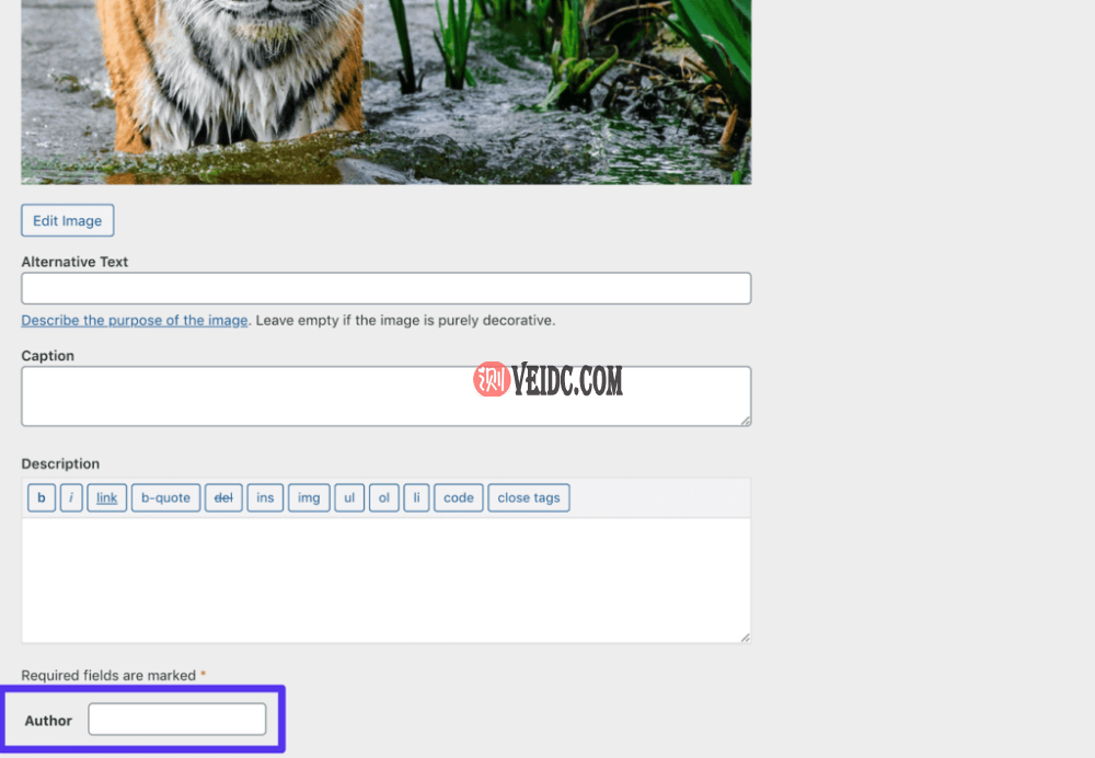 新的“作者”元数据字段 新的“作者”元数据字段