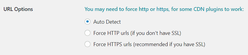 URL Options (URL设置)