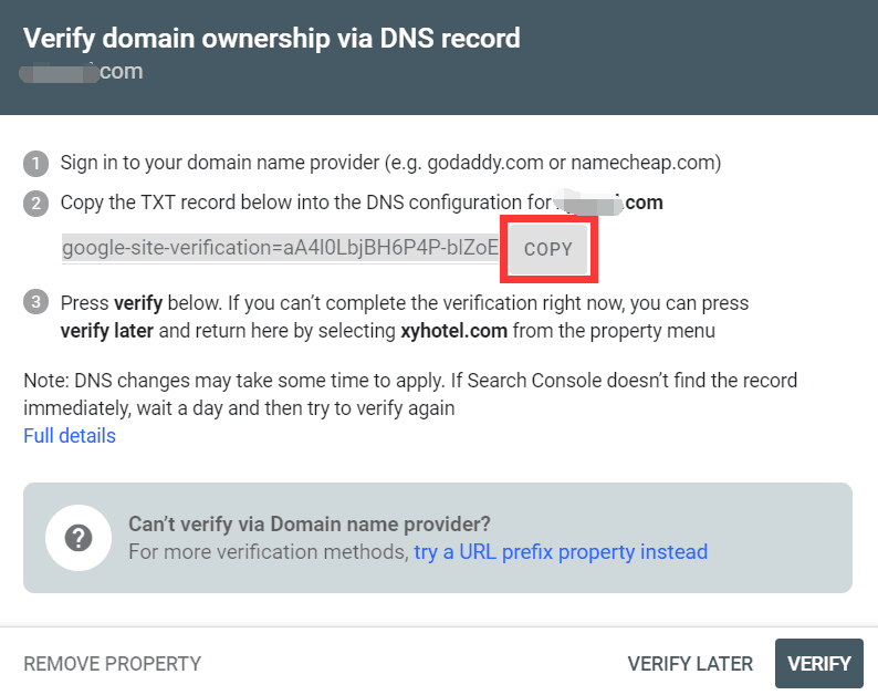 点击Copy 复制 TXT记录值