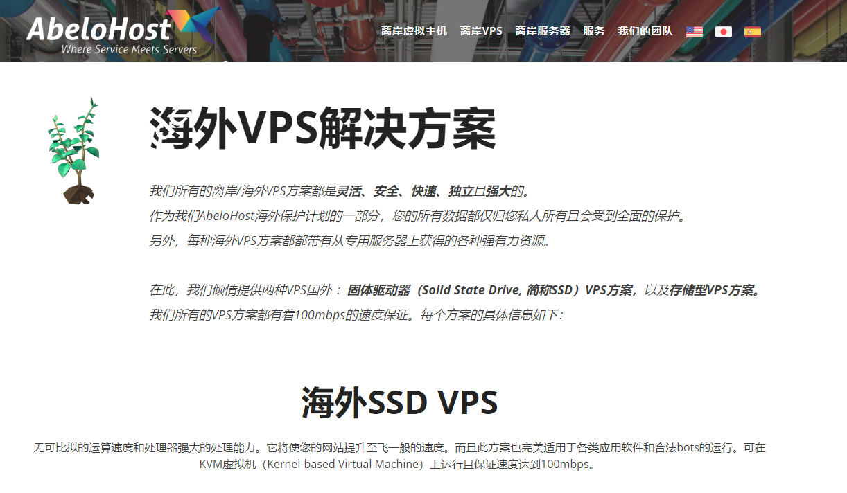 AbeloHost:荷兰离岸VPS,抗投诉服务器,无视版权,1Gbps不限流量,月付€9.99起,离岸专用服务器€52.8/月起-SSHCE测评