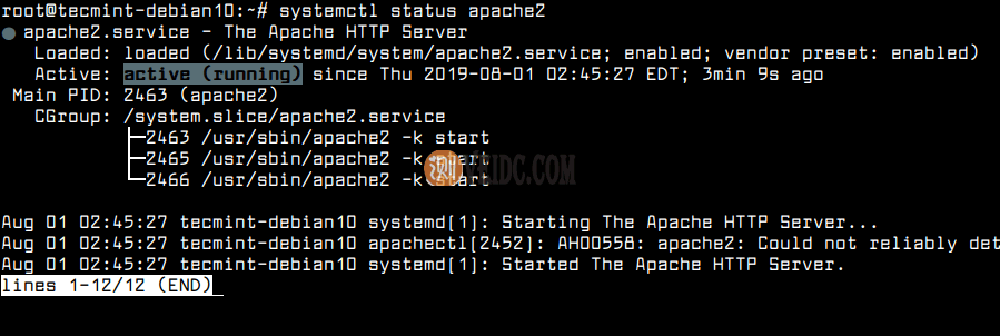 190804193160331 190804193160331