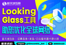 新天域互联:Looking Glass工具助您优化全球网络-VPS GO
