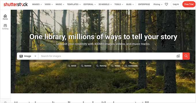 Shutterstock Shutterstock