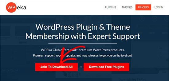 Sito web WPeka Sito web WPeka