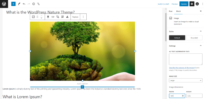 New WordPress editor called Gutenberg block editor Move blocks and customize content in block editor