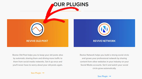 Revive Old Post plugin Revive Old Post plugin
