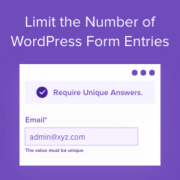 WordPress form giriş sayısını sınırlama