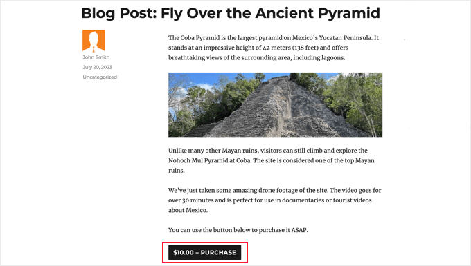 Lo shortcode aggiunge un pulsante di acquisto al post o al widget Lo shortcode aggiunge un pulsante di acquisto al post o al widget