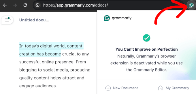 Grammarly Chrome extension Grammarly Chrome extension