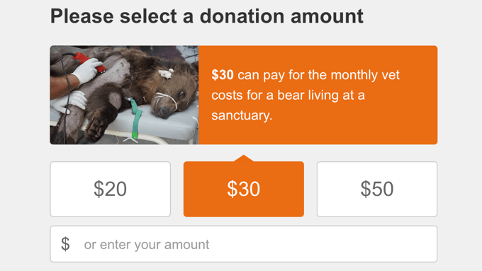 Mostra cosa possono realizzare diversi importi di donazione Mostra cosa possono realizzare diversi importi di donazione