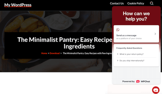 An example of a live chat window, created using the WPChat WhatsApp plugin An example of a live chat window, created using the WPChat WhatsApp plugin