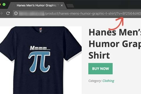 如何从 WordPress 网址中删除 v=XXXX 字符串