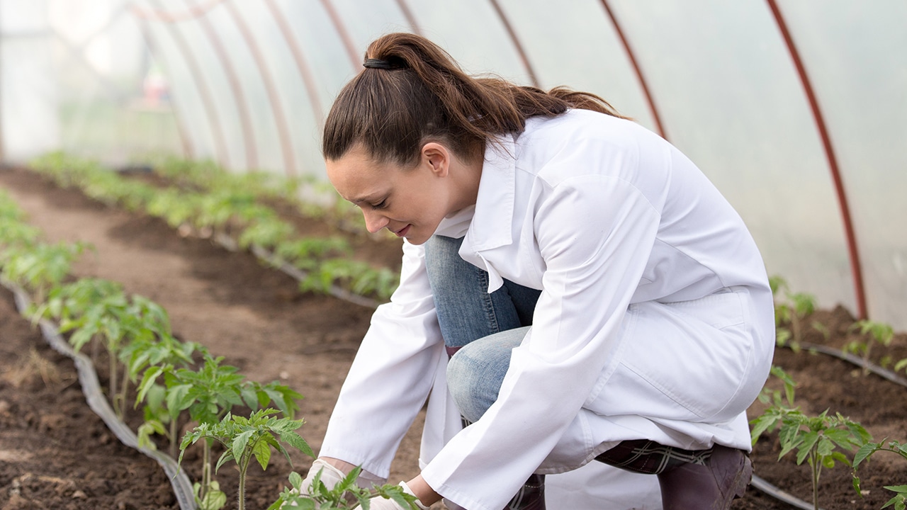 Building pathways for the future: Orin Johnson’s first six months leading Fergus CTE