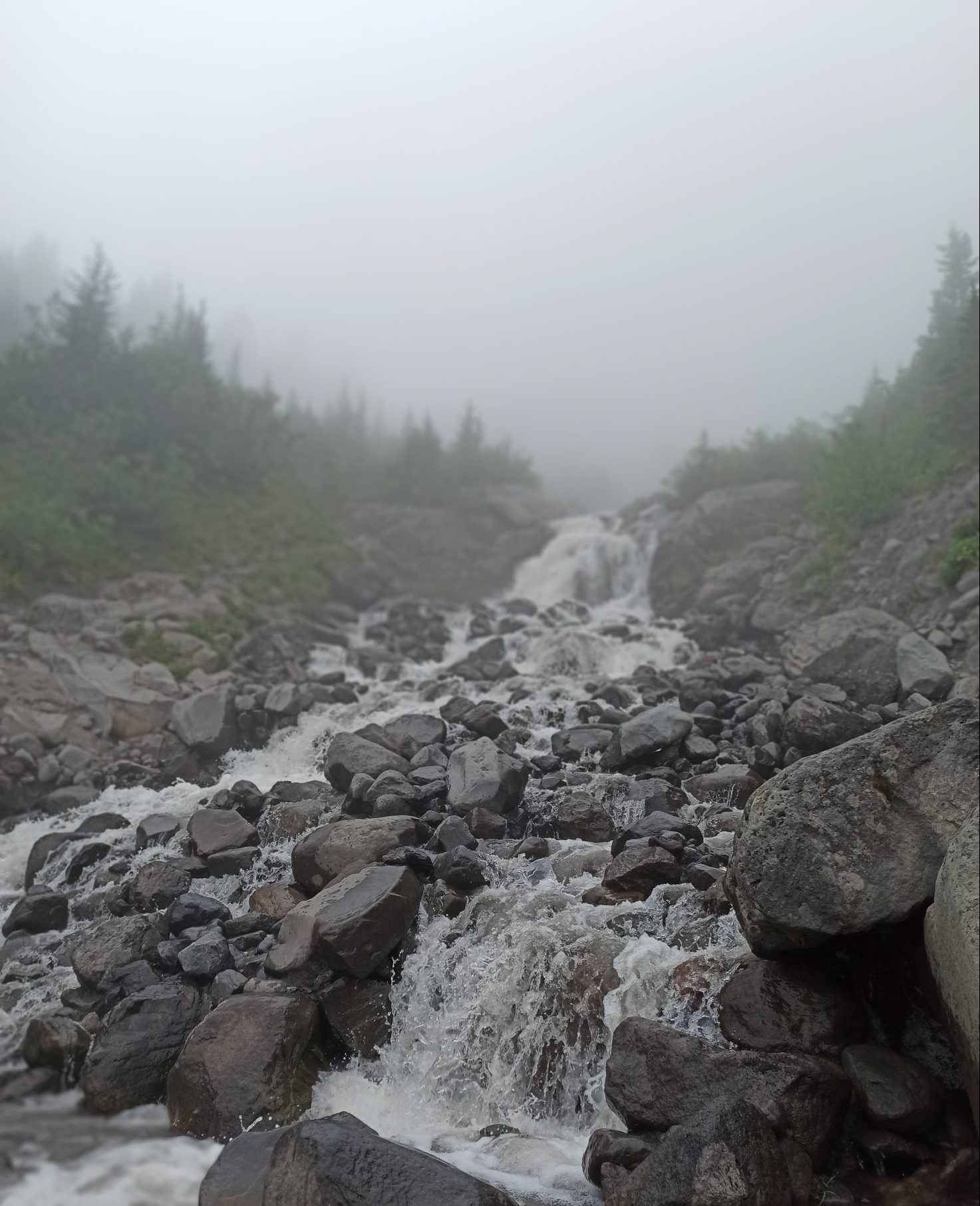 The end of the path on the normal approach route to Mount Baker as Coleman Glacier meltdown was making Xing this torrent impossible (as we had been warned at the start of the hike). An alternative approach was available for climbers, which we did not follow.