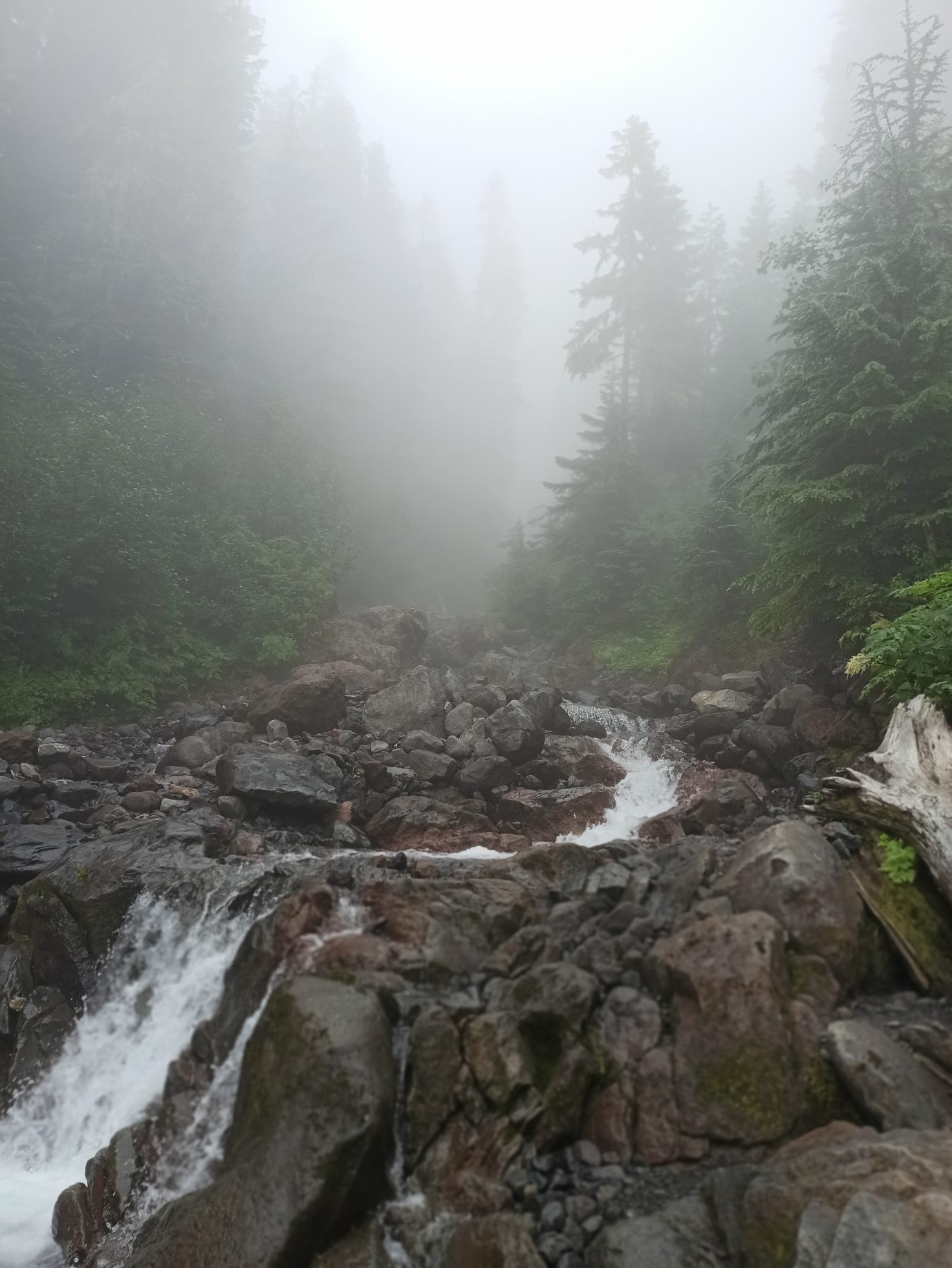 A small creek we crossed when on the normal approach route to Mount Baker, part of the Mount Baker-Snoqualmie National Forest and reached by an unpleasant and long mountain road, in complete fog that did not lift the entire day.