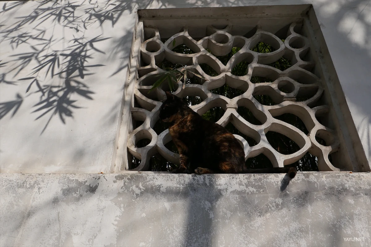 我在苏州逛园子之西园寺(图14) 我在苏州逛园子之西园寺(图14)