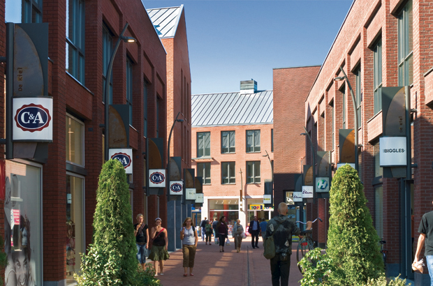 LiteServer荷兰德龙滕€2.4/月大盘鸡测评