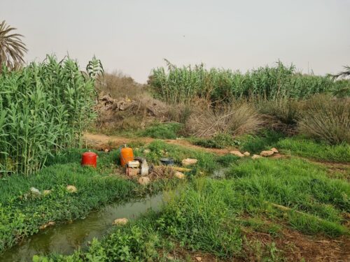 Pompage opportuniste dans le canal d'écoulement